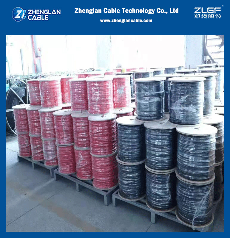 2PfG 1169 XLPO/XLPE Insulation XLPO/XLPE Jacket 4mm2 6mm2 10mm2 Solar Panel Cable Photovoltaic