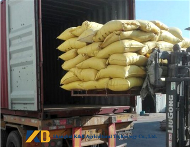 Food Grade Corn Protein Powder Contains Lutein Improve Poultry Disease - Resistant
