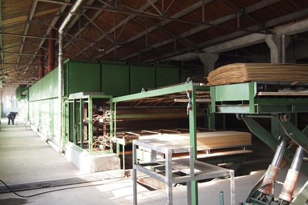 Engineered Wood Veneer Silver Oak Crown Grain Wood Veneer Natural
