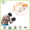 Buy cheap High Quality Sports Nutrition Whey Protein Powder from wholesalers