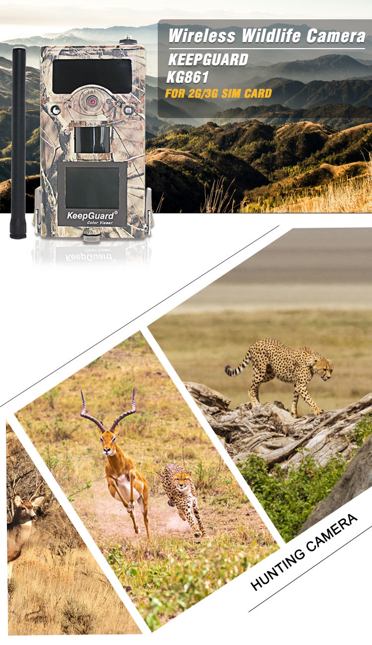 250g Scouting Trail Camera That Sends Pictures To Cell Phone / 12mp 3g Hunting Camera Waterproof hunting camera