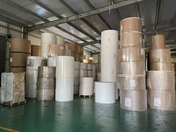 Factory Greaseproof Waterproof Single Double Wall PE Coated Kraft Paper Roll