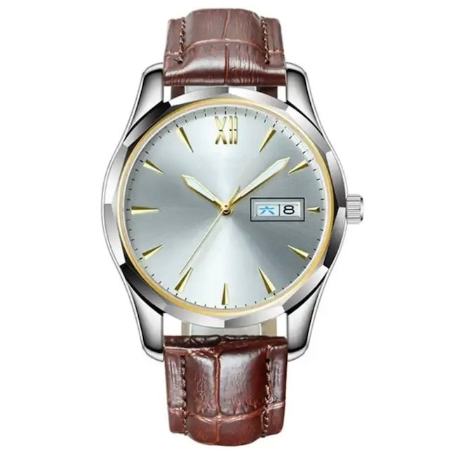 ISO Automatic Luxury Watches