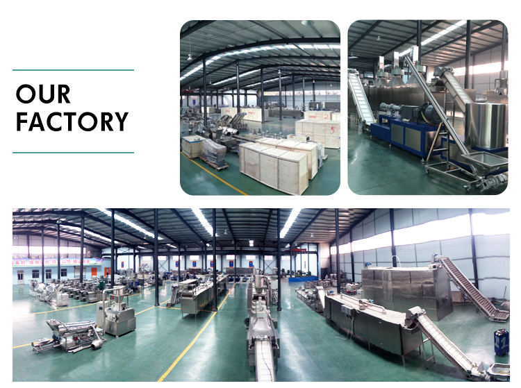 110V/220V/380V/415V/440V Popular Pet Food Making Machine for Food Beverage Plant