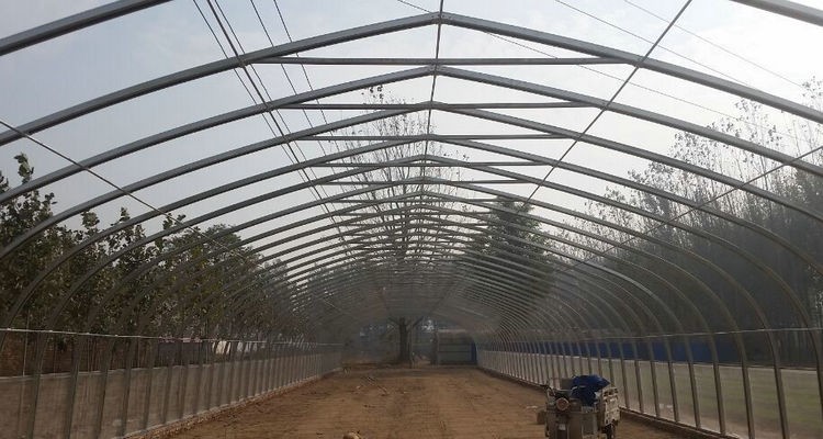 Stable Structure Tunnel Greenhouse for Vegetable Fruits Flowers in Ghana Easy Assembly