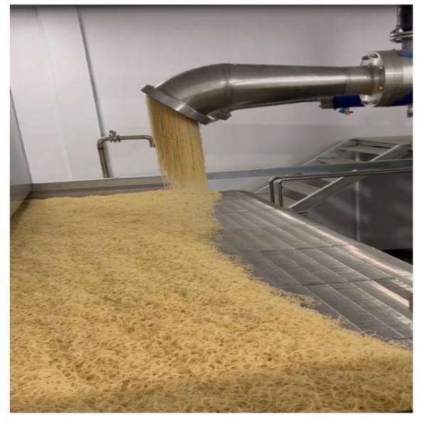 Skin Bone Fish Gelatin Votator Extruding Machine with After-sales Service