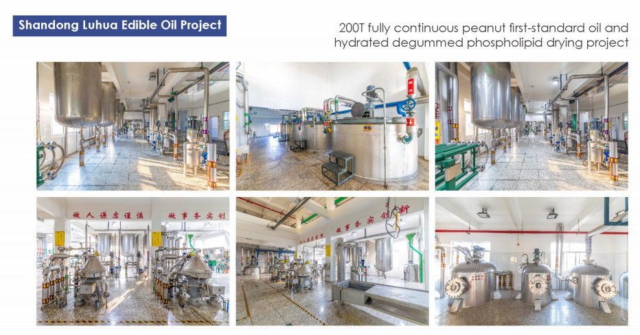 Cooking Edible Oil Production Line Equipment FFB Turnkey Service