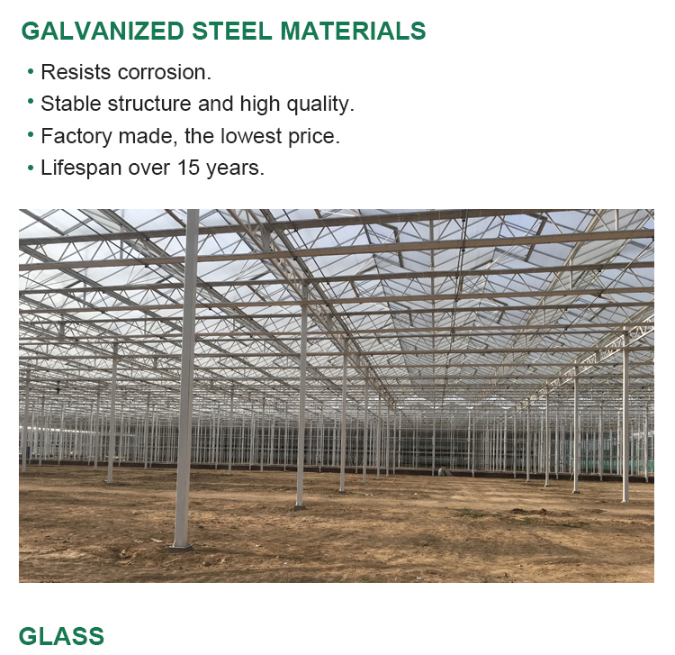 Multi-Span Agricultural Greenhouse for Growing Vegetable Fruits Flowers in Any Season