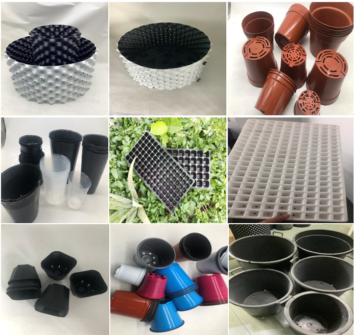 72 Cells Nursery Tray Plastic Seedling Tray Mango Plant Strawberry Seedling Trays