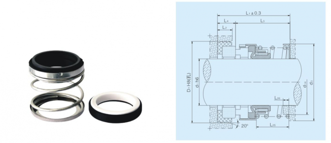 mechanical seal