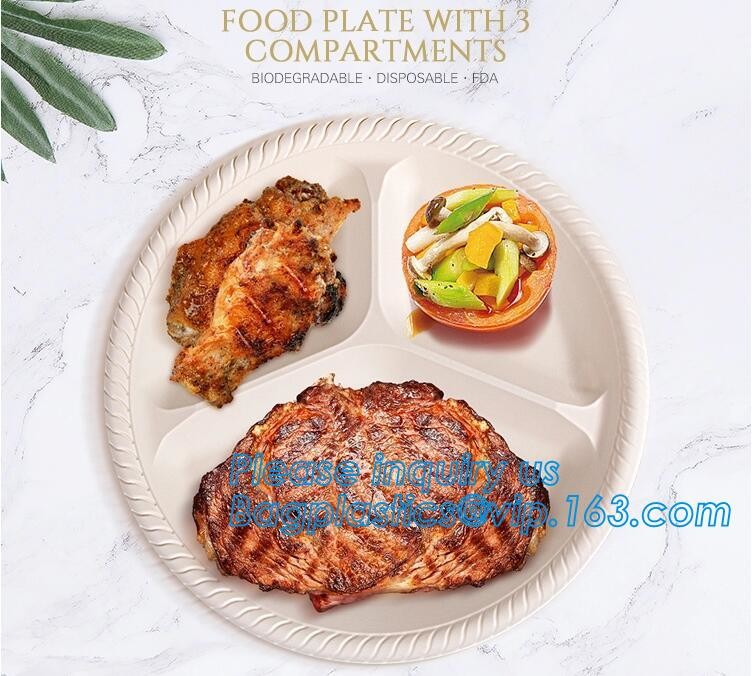 Meal Prep Containers Free Sample Bento Lunch Box Biodegradable Food Container Plastic Wheat Straw Lunch Box bagplastics