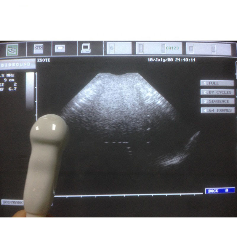 CA123 Convex Array Ultrasound Scan Probe for MyLab 25 Series