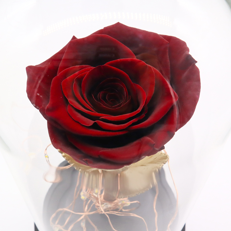 Beautiful Glass Dome Rose 65*44*65CM Perfect Wedding / Birthday Gift