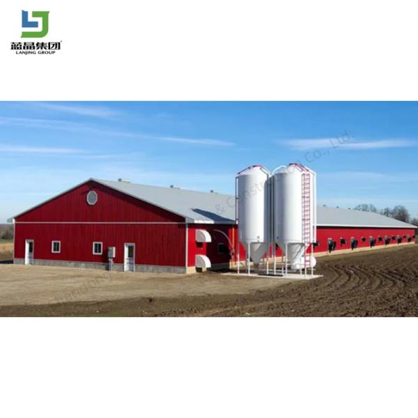 Prefabricated Low Cost Portal Frame Steel Structure Poultry Shed Chicken Farm
