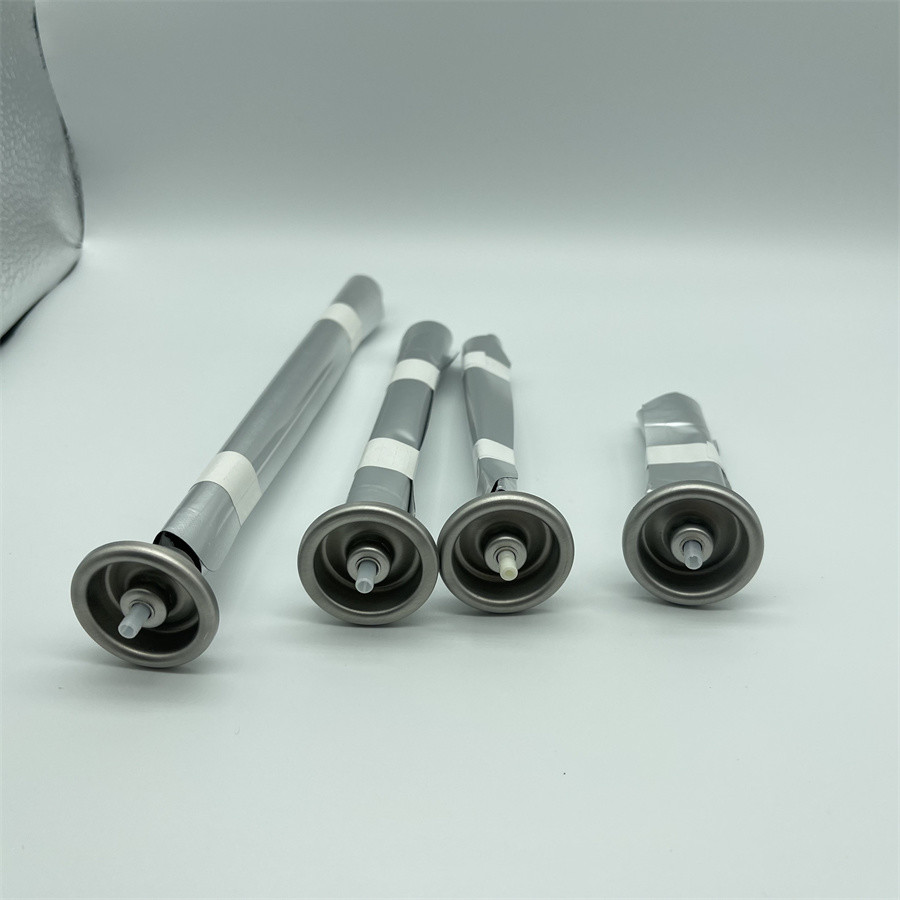 Versatile Bov Bag On Valve Packaging For Household Products Durable Easy-To-Use