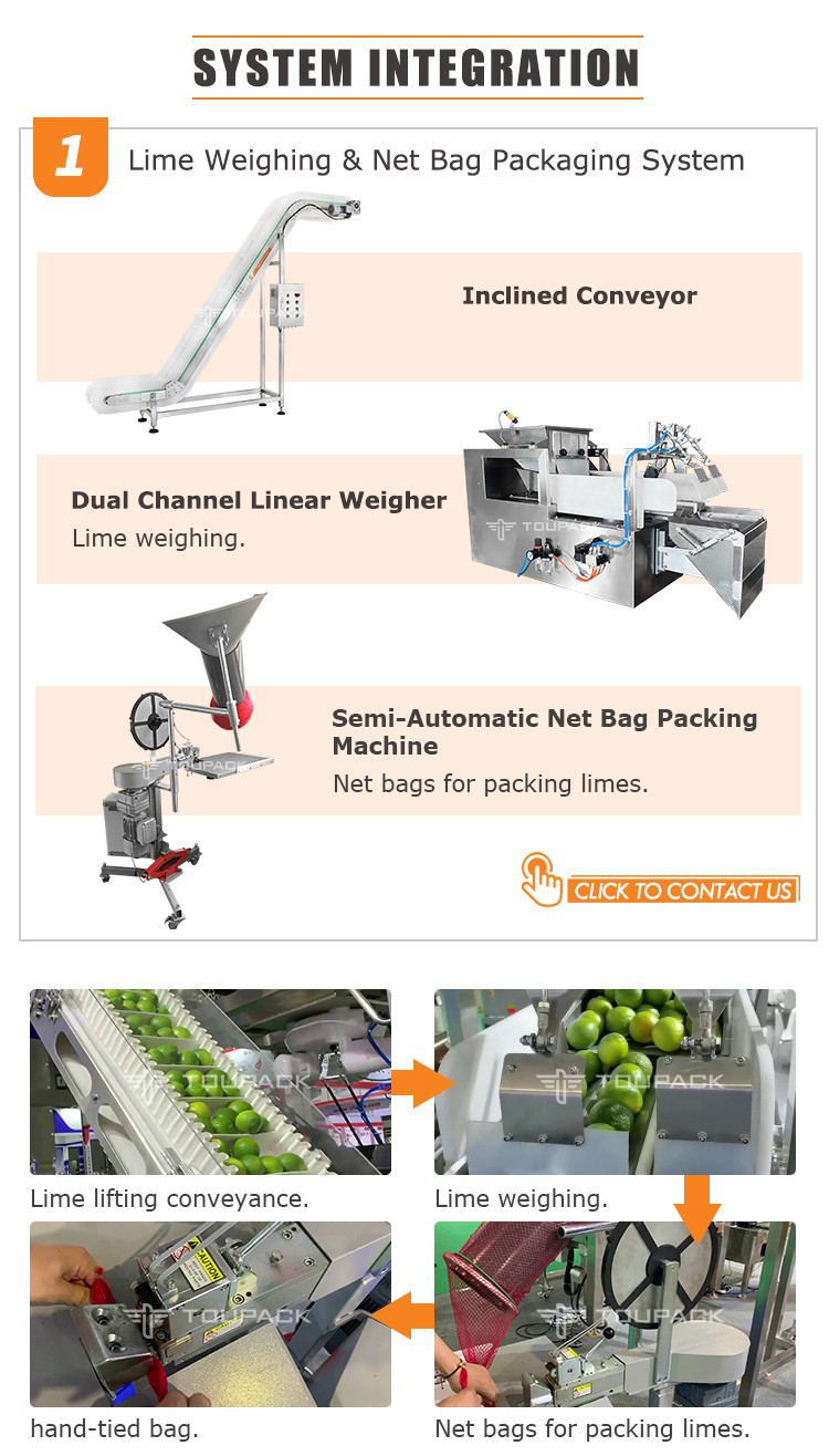 Automatic Net Bag Packing Machine For Gold Coin Chocolate Garlic Mesh Bag Packing Line