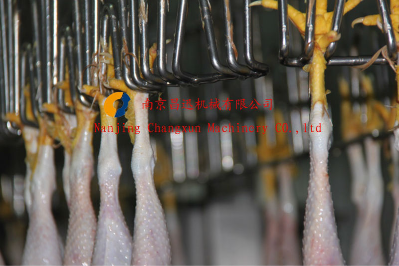 500BPH - 2000BPH Automatic Chicken Plucker Machine Stainless Steel