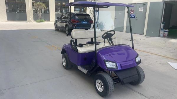 High Power 1000W 6 Seats Golf Cart With 72V Lithium Battery Battery Capacity 48V