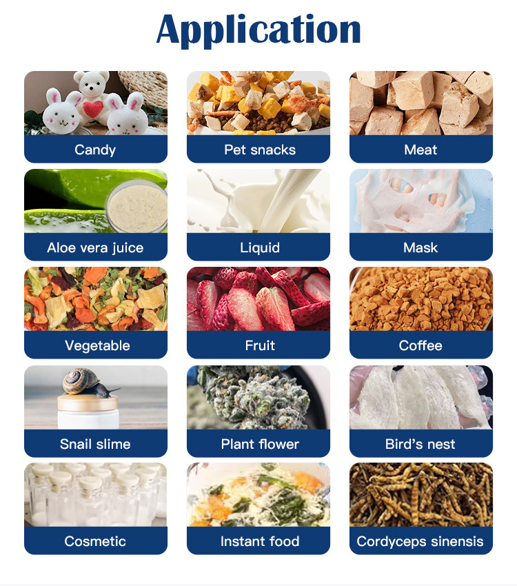 Double Compressor Vegetable Freeze Dryer Fruit Flower Vacuum Freeze Drying Equipment