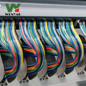 FPGA Chip CCD Peanut Color Sorting Machine walnut Pecan Kernel Color Sorter