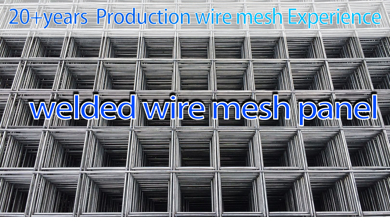 China anping Supplier Quality Galvanized Welded Wire Mesh Panels