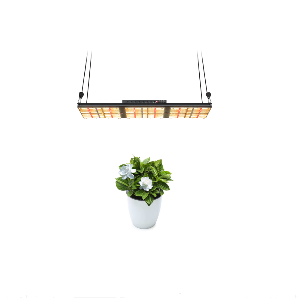 UV IR 320w Bavagreen Grow Light 320W Samsung LED LM301H V4