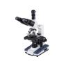 Buy cheap WF16X WF10X Compound Microscope Biology Discussion Students Achromatic 4X from wholesalers