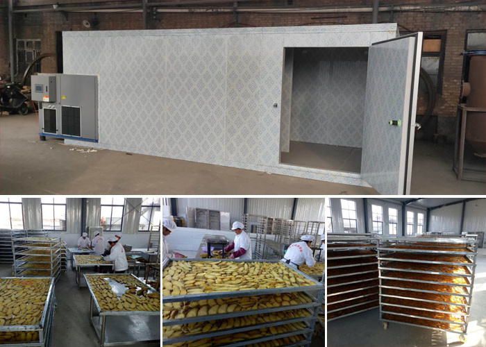 Continuous Food Dehydrator Stainless Steel CBD Hemp Dryer Machine