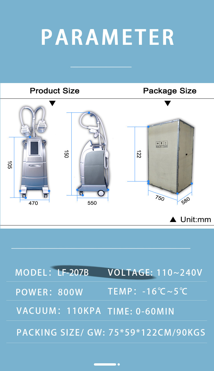 Professional cryo fat beauty machine fatest slimming weight loss cryo equipment LF-207B