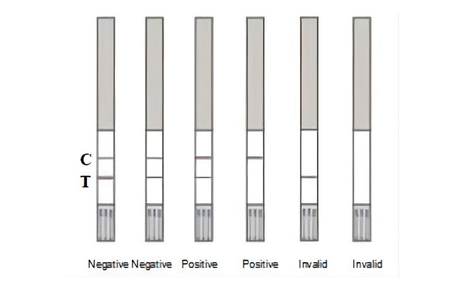 Florfenicol Rapid Test Strips For Tissue 96 Tests/Kit 0.1 Ppb