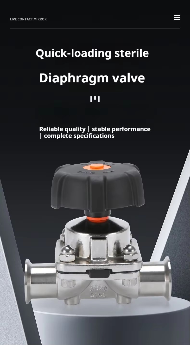 DN10 1/2 Inch Manual Diaphragm Valve PC Hand Wheel