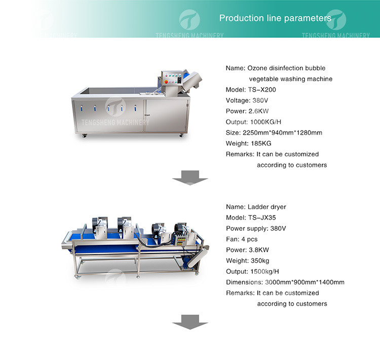 Tengsheng High Voltage Spraying Fruit And Vegetable Processing Line Industrial residual degradation