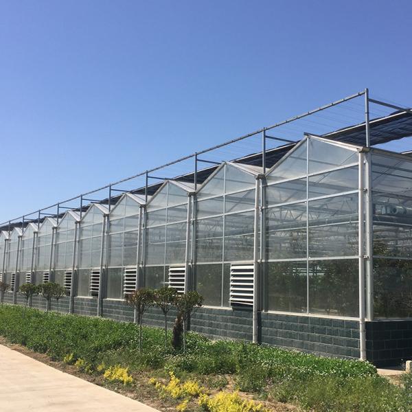 Instruction for Agricultural Glass Hydroponics System Commercial Greenhouses