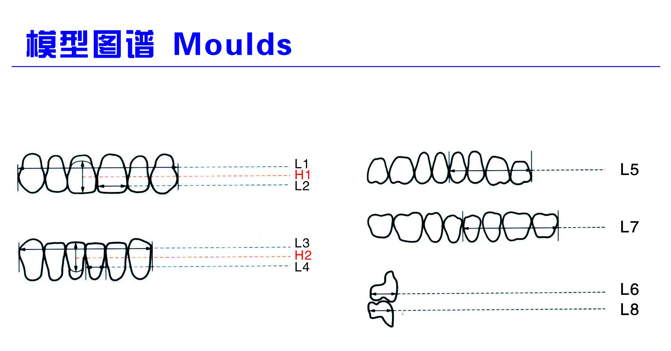 Dental Synthetic Resin Teeth Materials Multi Layers Composite False Teeth HSS3 HC3 M32