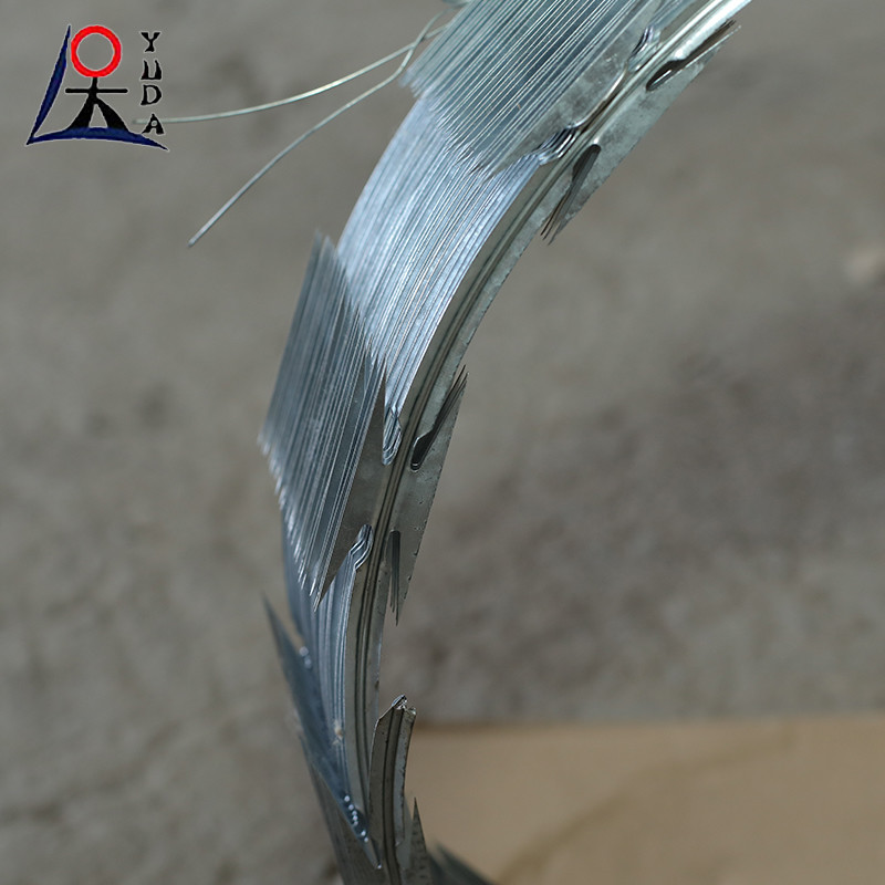 Anti Climbing Fence Protective Wire Hot Dipped Galvanized Razor Barbed Wire