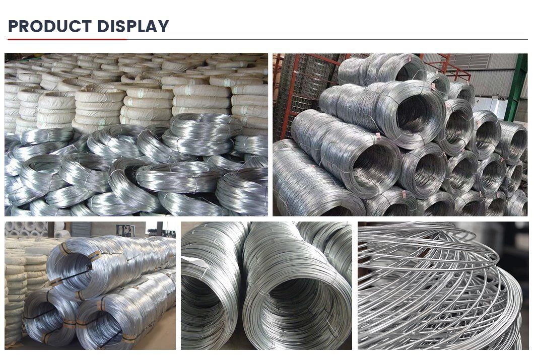 2.5mm 2.8mm 3mm Galvanized Wire Bwg Swg Diameter 2.5mm 2.8mm 3mm Hot DIP Electro Galvanized Steel Iron Wire Gi Wire