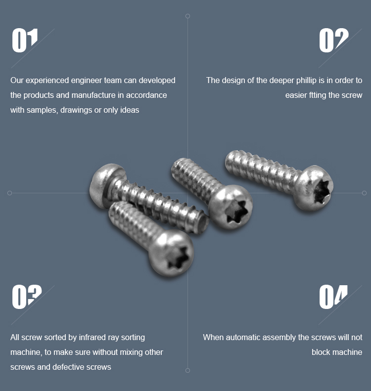 Metric Zinc Plated Torx Pan Head Self-tapping Screws for Long-lasting Performance