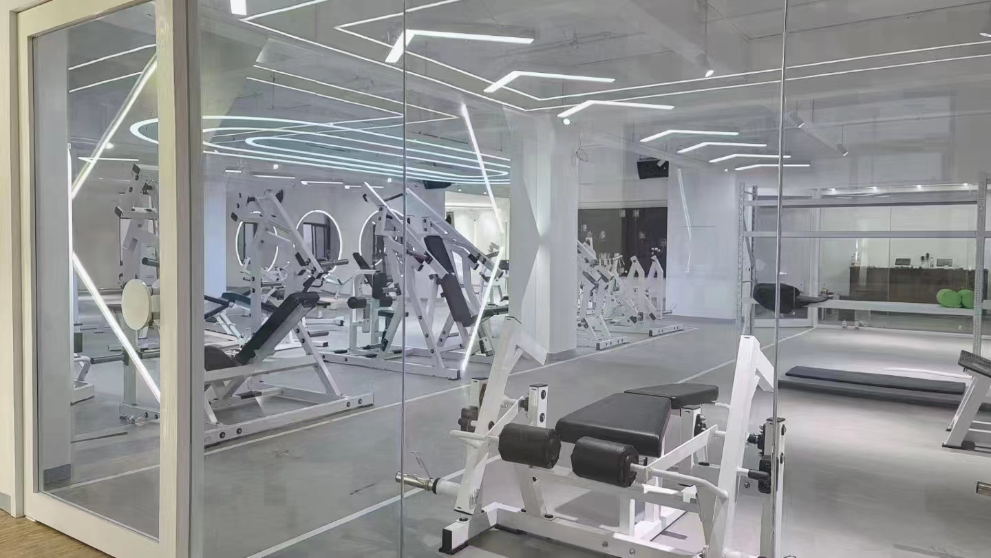Commercial Home Gym Equipment Body Build Motorized Electric Walking Treadmill