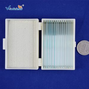 Biology Division Medical Student 13pcs Square Microscope Slides