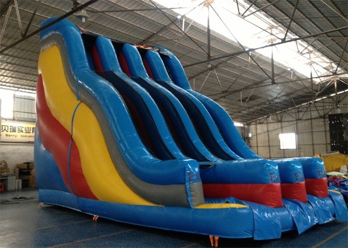 Large Commercial PVC Tarpaulin Adults Inflatable Hippo Slide Approved CE