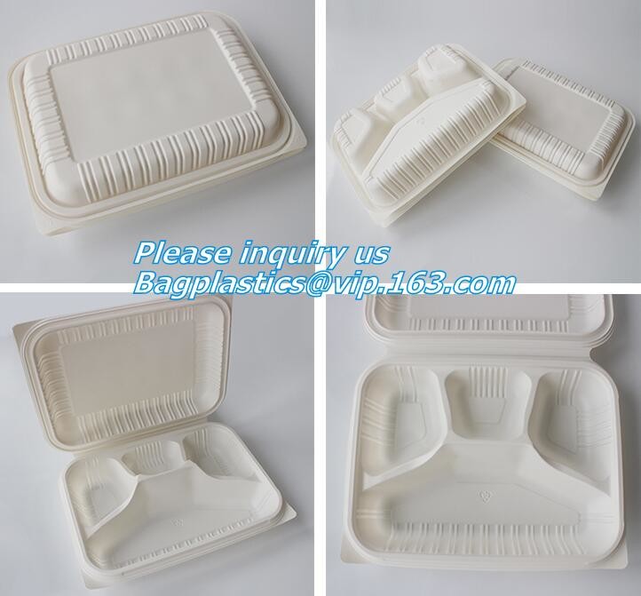 Meal Prep Containers Free Sample Bento Lunch Box Biodegradable Food Container Plastic Wheat Straw Lunch Box bagplastics