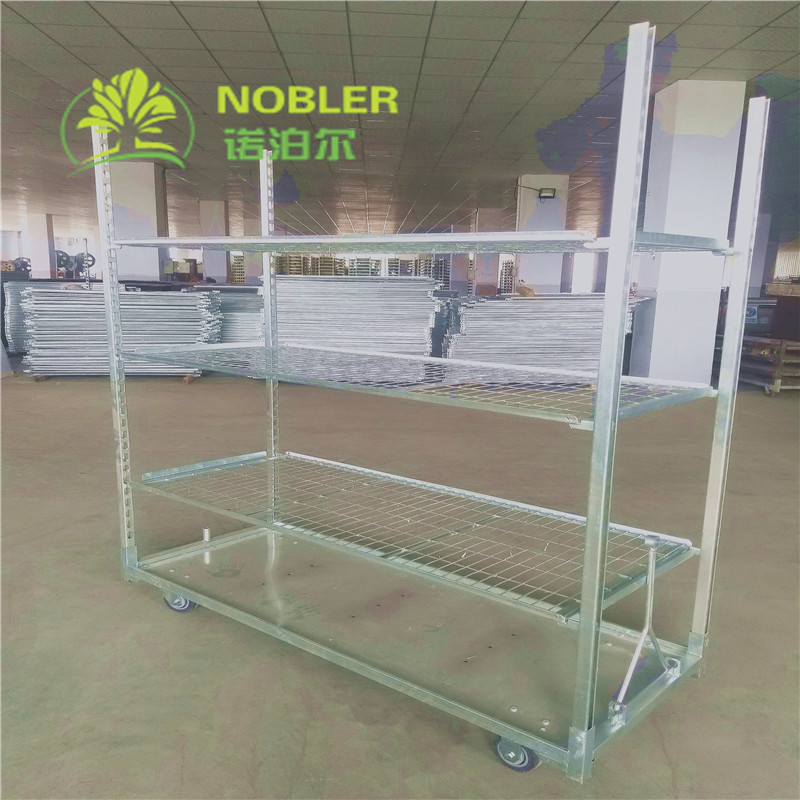 Hot Dip Galvanized Dutch Flower Trolley Seedling Car