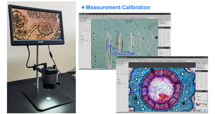 12.5" LCD HDMI USB Digital Microscope 6x - 39.4x 2.0M Real Time Auto