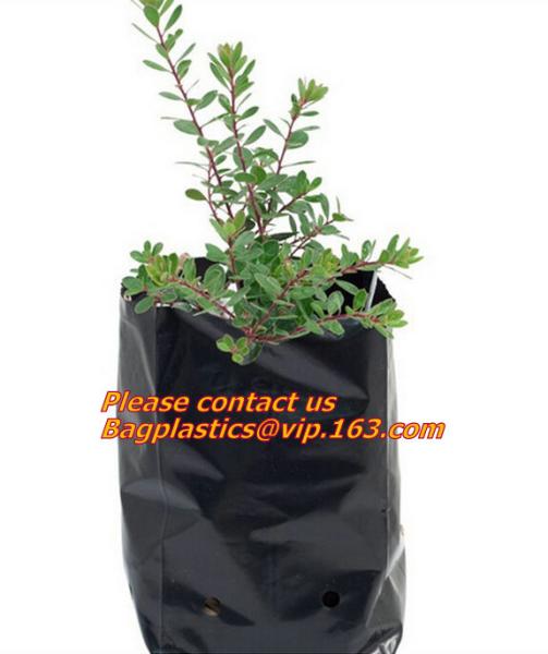 Poly Planter, Grow Bag, garden bags, grow bags, hanging plant bags, planter,