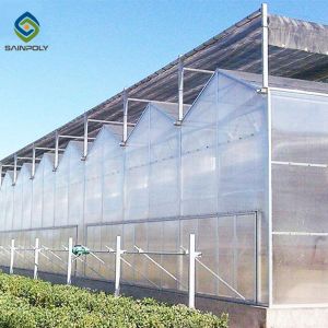 Exhibition Pc Board 3.0m Polycarbonate Greenhouse
