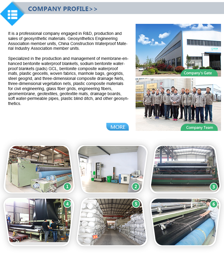 Plastic Interlocking Paving Grid for Driveways HDPE Material and After-sale Service