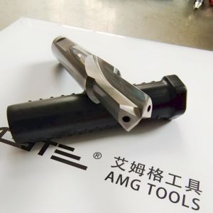 China High Precision Carbide Drill Bit with 135° Point Angle 30–35° Helix and 1-32mm Diameter for Efficient Deep Hole Drilling on sale