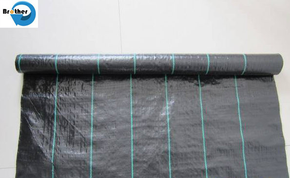 PP Anti Weed Mat, Agricultural Plastic Weed Control Fabric, Black Weed Prevent Cloth with Cheap Price