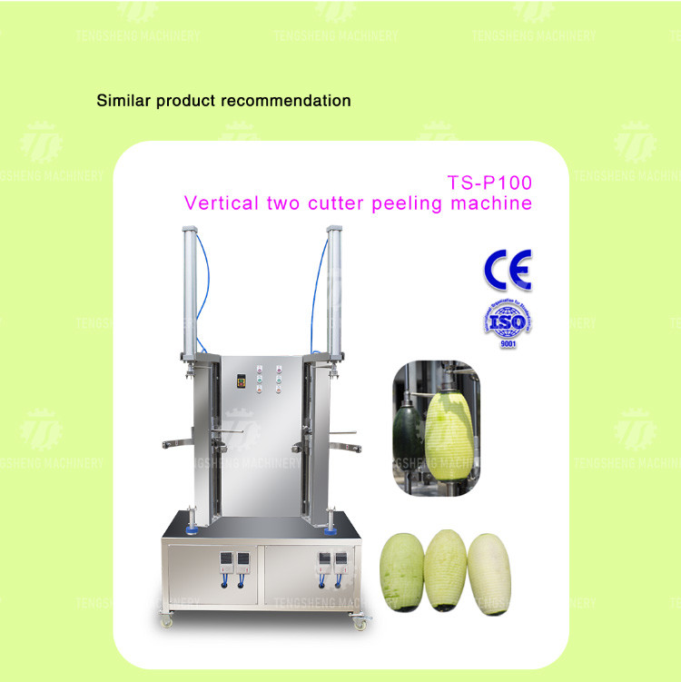 1.0KW 120KG Direct selling vertical single knife peeler pumpkin peeler stainless steel