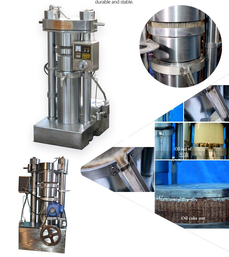 Seeds 16kg/batch Hydraulic Oil Press Machine Cold Press Avocado Oil Expeller Pressed